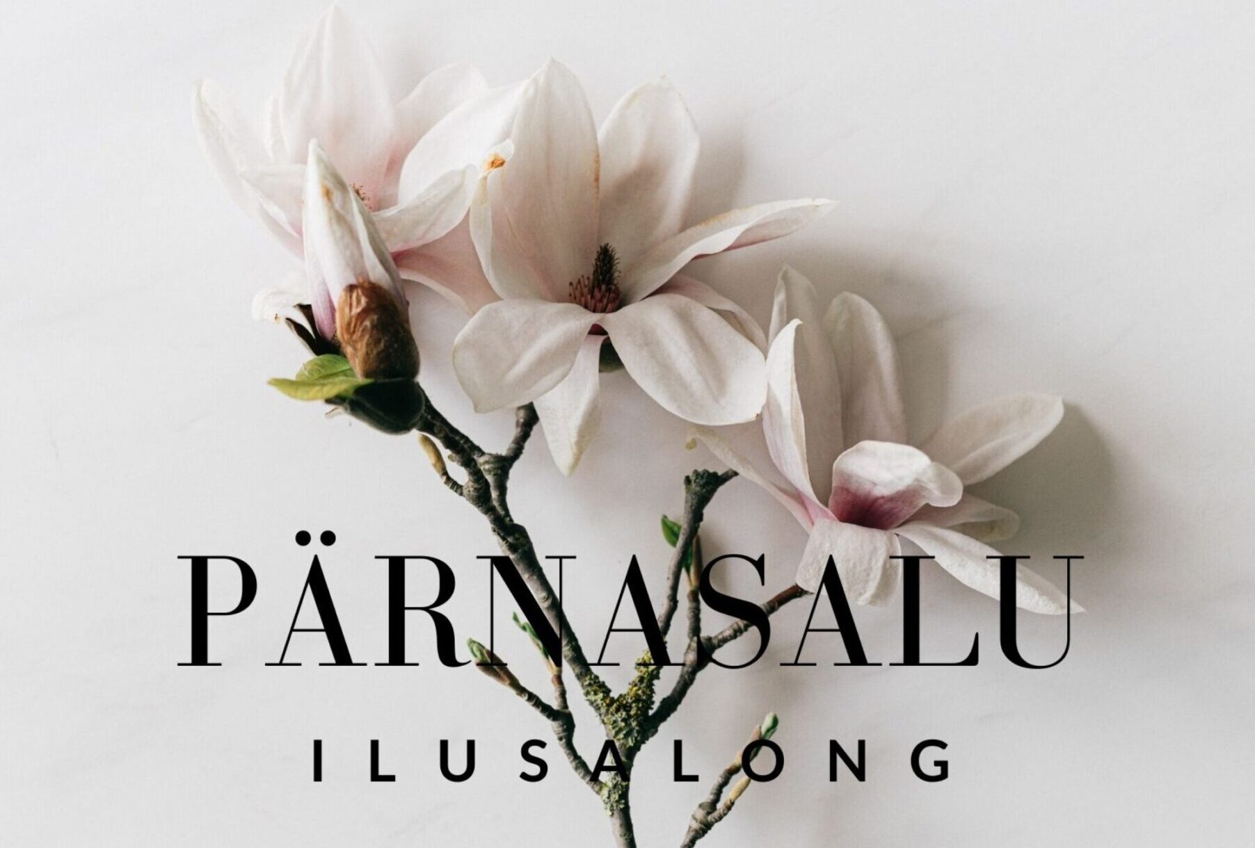 Pärnasalu Ilusalong